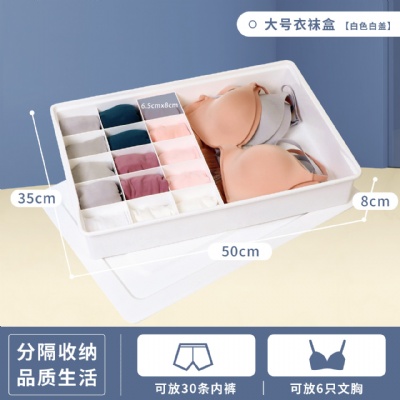 Large panty sock storage box, panty bra sock one-piece storage box belt grid